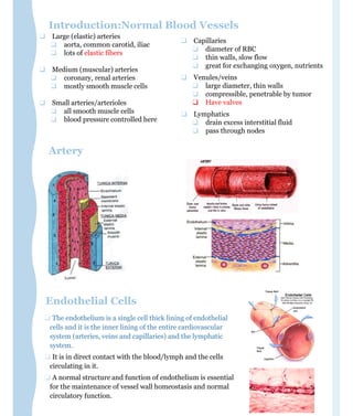 ❑ Capillaries
❑ diameter of RBC
❑ thin walls, slow flow
❑ great for exchanging oxygen, nutrients
❑ Venules/veins
❑ large diameter, thin walls
❑ compressible, penetrable by tumor
❑ Have valves
❑ Lymphatics
❑ drain excess interstitial fluid
❑ pass through nodes
❑ Large (elastic) arteries
❑ aorta, common carotid, iliac
❑ lots of elastic fibers
❑ Medium (muscular) arteries
❑ coronary, renal arteries
❑ mostly smooth muscle cells
❑ Small arteries/arterioles
❑ all smooth muscle cells
❑ blood pressure controlled here
Artery
❑ The endothelium is a single cell thick lining of endothelial
cells and it is the inner lining of the entire cardiovascular
system (arteries, veins and capillaries) and the lymphatic
system.
❑ It is in direct contact with the blood/lymph and the cells
circulating in it.
❑ A normal structure and function of endothelium is essential
for the maintenance of vessel wall homeostasis and normal
circulatory function.
Endothelial Cells
Introduction:Normal Blood Vessels
 