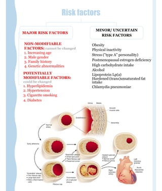 Risk factors
MAJOR RISK FACTORS
MINOR/ UNCERTAIN
RISK FACTORS
NON-MODIFIABLE
FACTORS: cannot be changed
1. Increasing age
2. Male gender
3. Family history
4. Genetic abnormalities
Obesity
Physical inactivity
Stress ("type A" personality)
Postmenopausal estrogen deficiency
High carbohydrate intake
Alcohol
Lipoprotein Lp(a)
Hardened (trans)unsaturated fat
intake
Chlamydia pneumoniae
POTENTIALLY
MODIFIABLE FACTORS:
could be changed
1. Hyperlipidemia
2. Hypertension
3. Cigarette smoking
4. Diabetes
 