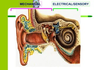 MECHANICAL ELECTRICAL/SENSORY 
