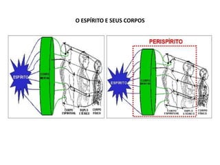 O ESPÍRITO E SEUS CORPOS
 