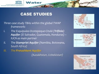 CASE STUDIES 
Three case study TBAs within the global TWAP 
framework: 
i. The Esquipulas-Ocotepeque-Citalá (Trifinio) 
Aq...