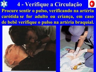 4 - Verifique a Circulação
4 - Verifique a Circulação
Procure sentir o pulso, verificando na artéria
Procure sentir o pulso, verificando na artéria
carótida se for adulto ou criança, em caso
carótida se for adulto ou criança, em caso
de bebê verifique o pulso na artéria braquial.
de bebê verifique o pulso na artéria braquial.
 
