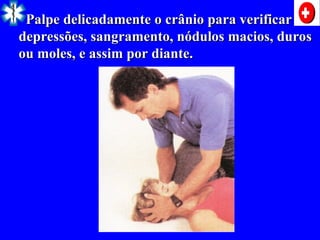 Palpe delicadamente o crânio para verificar
Palpe delicadamente o crânio para verificar
depressões, sangramento, nódulos macios, duros
depressões, sangramento, nódulos macios, duros
ou moles, e assim por diante.
ou moles, e assim por diante.
 