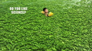 DO YOU LIKE
SCIENCE?
 