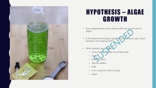 HYPOTHESIS – ALGAE
GROWTH
• Does supplemental carbon dioxide affect the growth rate of
algae?
• Is the experimental design capable of producing enough carbon
dioxide to drive algal growth?
• What materials are included?
– Three one-liter bottles of purified water;
– Sugar;
– Brewer’s yeast;
– Silicone sealant;
– Drill;
– 6-mm aquarium airline tubing;
– Algae
 