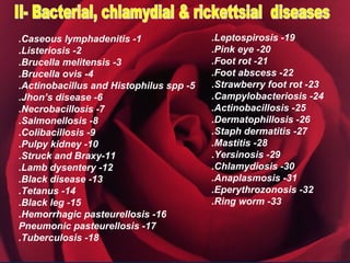 .Caseous lymphadenitis -1                .Leptospirosis -19
.Listeriosis -2                          .Pink eye -20
.Brucella melitensis -3                  .Foot rot -21
.Brucella ovis -4                        .Foot abscess -22
.Actinobacillus and Histophilus spp -5   .Strawberry foot rot -23
.Jhon‘s disease -6                       .Campylobacteriosis -24
.Necrobacillosis -7                      .Actinobacillosis -25
.Salmonellosis -8                        .Dermatophillosis -26
.Colibacillosis -9                       .Staph dermatitis -27
.Pulpy kidney -10                        .Mastitis -28
.Struck and Braxy-11                     .Yersinosis -29
.Lamb dysentery -12                      .Chlamydiosis -30
.Black disease -13                       .Anaplasmosis -31
.Tetanus -14                             .Eperythrozonosis -32
.Black leg -15                           .Ring worm -33
.Hemorrhagic pasteurellosis -16
Pneumonic pasteurellosis -17
.Tuberculosis -18
 