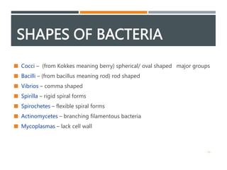 2- bacteriology.pptx a long descriptive information about bacteria | PPTX