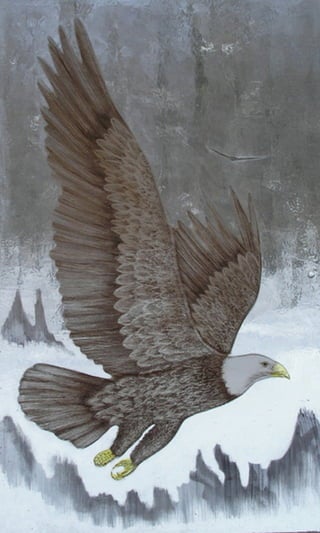 #2 Bald Eagle