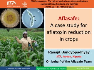 www.iita.orgA member of CGIAR consortium
Aflasafe:
A case study for
aflatoxin reduction
in crops
Ranajit Bandyopadhyay
IITA, Ibadan, Nigeria
On behalf of the Aflasafe Team
Agriculture for Nutrition & Health
FAO Symposium: The role of agricultural biotechnologies in
sustainable food systems and nutrition
Rome, 15 – 17 February 2016
 