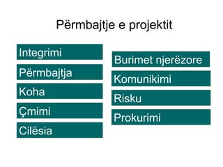 Përmbajtje e projektit Integrimi Përmbajtja Koha Çmimi Cilësia Burimet njerëzore Komunikimi Risku Prokurimi 