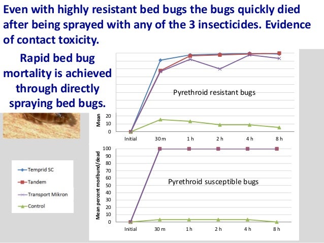 Bed Bug Activity After Spraying Bed Bug Activity After Spraying