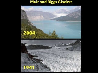 Muir and Riggs Glaciers
 