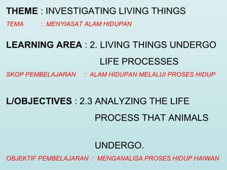 THEME : INVESTIGATING LIVING THINGS
TEMA : MENYIASAT ALAM HIDUPAN
LEARNING AREA : 2. LIVING THINGS UNDERGO
LIFE PROCESSES
SKOP PEMBELAJARAN : ALAM HIDUPAN MELALUI PROSES HIDUP
L/OBJECTIVES : 2.3 ANALYZING THE LIFE
PROCESS THAT ANIMALS
UNDERGO.
OBJEKTIF PEMBELAJARAN : MENGANALISA PROSES HIDUP HAIWAN
 