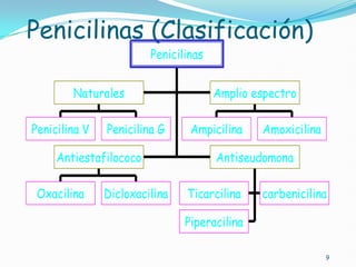 Penicilinas (Clasificación)
Penicilina V Penicilina G
Naturales
Ampicilina Amoxicilina
Amplio espectro
Oxacilina Dicloxacilina
Antiestafilococo
Ticarcilina carbenicilina
Piperacilina
Antiseudomona
Penicilinas
9
 