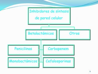 Inhibidores de síntesis
                de pared celular



          Betalactámicos             Otros



  Penicilinas          Carbapenem


Monobactámicos        Cefalosporinas

                                             6
 