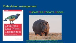 Data driven management
HIghest Paid Person’s Opinion
By Gusjer (Hippo at dawn. Chobe National Park) [CC BY 2.0
(http://creativecommons.org/licenses/by/2.0)], via Wikimedia Commons
 