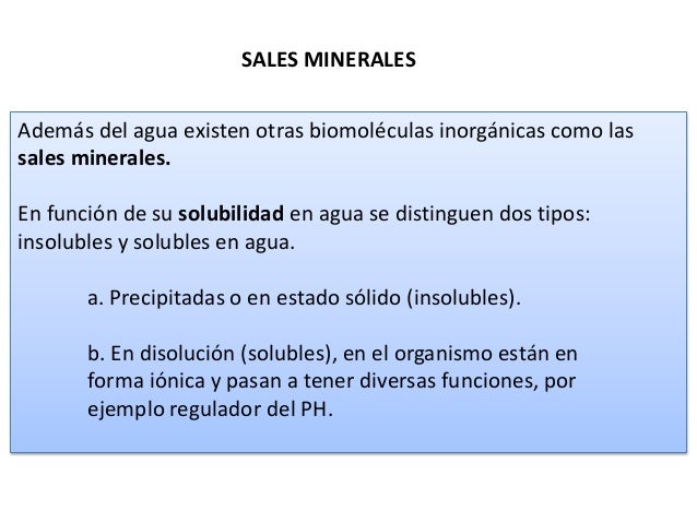Bioelementos sales y agua