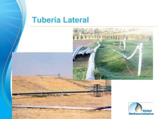 Tubería Lateral




                  21
 