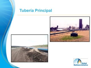 Tubería Principal




                    23
 