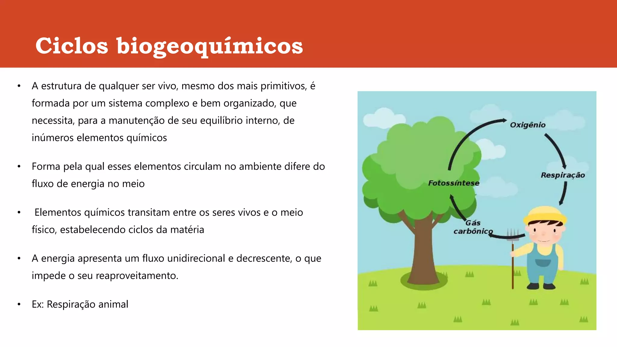 Ciclos biogeoquimicos | PPT