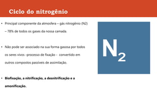 Ciclo do nitrogênio
• Principal componente da atmosfera – gás nitrogênio (N2)
– 78% de todos os gases da nossa camada.
• Não pode ser associado na sua forma gasosa por todos
os seres vivos -processo de fixação - convertido em
outros compostos passíveis de assimilação.
• Biofixação, a nitrificação, a desnitrificação e a
amonificação.
 