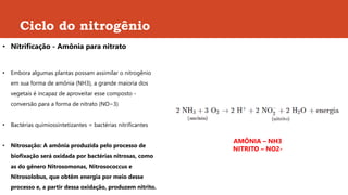 Ciclo do nitrogênio
• Nitrificação - Amônia para nitrato
• Embora algumas plantas possam assimilar o nitrogênio
em sua forma de amônia (NH3), a grande maioria dos
vegetais é incapaz de aproveitar esse composto -
conversão para a forma de nitrato (NO−3)
• Bactérias quimiossintetizantes = bactérias nitrificantes
• Nitrosação: A amônia produzida pelo processo de
biofixação será oxidada por bactérias nitrosas, como
as do gênero Nitrosomonas, Nitrosococcus e
Nitrosolobus, que obtêm energia por meio desse
processo e, a partir dessa oxidação, produzem nitrito.
AMÔNIA – NH3
NITRITO – NO2-
 