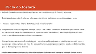 Ciclo do fósforo
• Acúmulo desse elemento em depósitos rochosos, o que constitui um ciclo de depósito sedimentar.
• Decomposição ou erosão do solo, que o libera para o ambiente -parte desse composto escapa para o mar
• Peixes ou aves marinhas - retorno do fosforo para o ambiente terrestre
• Composição de moléculas de grande destaque, como o DNA e o RNA – moléculas responsáveis pelo controle celular
– e o ATP – molécula de alto valor energético e importante para o metabolismo –, além de participar de processos
como a contração muscular e constituir a estrutura óssea.
• Intemperismos responsáveis pela erosão do solo - garante a sua liberação para os ecossistemas, nos quais ocorre a
sua absorção pelos vegetais e, por meio das cadeias alimentares, os compostos orgânicos fosfatados são transferidos
para os demais organismos do meio.
*conjunto de alterações físicas (desagregação) e químicas (decomposição) que as rochas sofrem quando ficam expostas na superfície da Terra*
 