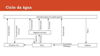 Ciclo da água
 