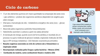 Ciclo do carbono
• É um dos elementos químicos em maior quantidade na composição dos seres vivos
– gás carbônico – produto dos organismos aeróbicos (dependem do oxigênio para
obter energia)
• Vital para a manutenção da vida - metabolismo energético dos seres vivos - glicose
(carboidrato)
• Absorvido pelos organismos autótrofos fotossintetizantes
• Heterótrofos assimilam o carbono a partir da cadeia alimentar
• A transdução de energia, quando ocorre de forma aeróbica, é resultado de um
processo no qual a molécula de glicose é oxidada, originando moléculas de CO2,
água e ATP (energia metabólica) – CO2 liberado novamente pra atmosfera
• Reações orgânicas associadas ao ciclo do carbono são a fotossíntese e a
respiração celular
• Decomposição realizadas pelos fungos e pelas bactérias – Metano (CH4)
• Combustão da matéria, como combustíveis fósseis e madeira (CO)
 