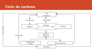 Ciclo do carbono
 