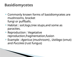 2-Biological classification.pptx CLASS 11 CBSE NCERT BIOLOGY LESSON 2 ...