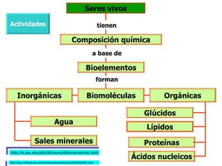 Seres vivos

Actividades                                                       tienen

                                              Composición química
                                                              a base de

                                                         Bioelementos
                                                                  forman

     Inorgánicas                                         Biomoléculas              Orgánicas

                                                                              Glúcidos
                                 Agua
                                                                               Lípidos
                  Sales minerales                                             Proteínas
http://is.asu.edu/plb108/course/life/macrom/toc.html
                                                                           Ácidos nucleicos
http://bcs.whfreeman.com/thelifewire/content/chp03/0302002.html
 