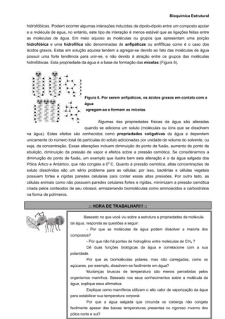 Bioquímica Estrutural
  93
hidrofóbicas. Podem ocorrer algumas interações induzidas de dipolo-dipolo entre um composto apolar
e a molécula de água, no entanto, este tipo de interação é menos estável que as ligações feitas entre
as moléculas de água. Em meio aquoso as moléculas ou grupos que apresentam uma porção
hidrofóbica e uma hidrofílica são denominadas de anfipáticas ou anfifílicas como é o caso dos
ácidos graxos. Estas em solução aquosa tendem a agregar-se devido ao fato das moléculas de água
possuir uma forte tendência para unir-se, e não devido à atração entre os grupos das moléculas
hidrofóbicas. Esta propriedade da água é a base da formação das micelas (Figura 6).
Figura 6. Por serem anfipáticos, os ácidos graxos em contato com a
água
agregam-se e formam as micelas.
Algumas das propriedades físicas da água são alteradas
quando se adiciona um soluto (moléculas ou íons que se dissolvem
na água). Estes efeitos são conhecidos como propriedades coligativas da água e dependem
unicamente do número total de partículas do soluto adicionadas por unidade de volume do solvente, ou
seja, da concentração. Essas alterações incluem diminuição do ponto de fusão, aumento do ponto de
ebulição, diminuição da pressão de vapor e efeitos sobre a pressão osmótica. Se considerarmos a
diminuição do ponto de fusão, um exemplo que ilustra bem esta alteração é o da água salgada dos
Pólos Ártico e Antártico, que não congela a 0o
C. Quanto à pressão osmótica, altas concentrações de
soluto dissolvidos são um sério problema para as células; por isso, bactérias e células vegetais
possuem fortes e rígidas paredes celulares para conter essas altas pressões. Por outro lado, as
células animais como não possuem paredes celulares fortes e rígidas, minimizam a pressão osmótica
criada pelos conteúdos de seu citossol, armazenando biomoléculas como aminoácidos e carboidratos
na forma de polímeros.
:: HORA DE TRABALHAR!!! ::
Baseado no que você viu sobre a estrutura e propriedades da molécula
da água, responda as questões a seguir:
- Por que as moléculas da água podem dissolver a maioria dos
compostos?
- Por que não há pontes de hidrogênio entre moléculas de CH4 ?
Dê duas funções biológicas da água e correlacione com a sua
polaridade.
Por que as biomoléculas polares, mas não carregadas, como os
açúcares, por exemplo, dissolvem-se facilmente em água?
Mudanças bruscas de temperatura são menos percebidas pelos
organismos marinhos. Baseado nos seus conhecimentos sobre a molécula da
água, explique essa afirmativa.
Explique como mamíferos utilizam o alto calor de vaporização da água
para estabilizar sua temperatura corporal.
Por que a água salgada que circunda os icebergs não congela
facilmente apesar das baixas temperaturas presentes no rigoroso inverno dos
pólos norte e sul?
 