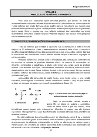 Bioquímica Estrutural
  101
UNIDADE 2
AMINOÁCIDOS, PEPTÍDEOS E PROTEINAS
Você sabia que precisamos ingerir alimentos protéicos que servirão de fonte de
aminoácidos essenciais para a síntese de proteínas com funções diversas em nosso organismo!
Temos proteínas com função de transporte de oxigênio como a hemoglobina e as mais diversas
proteínas desempenhando função de catálise (enzimas) e defesa (anticorpos ou imunoglobulinas),
dentre outras. Como é possível que esse alfabeto molecular seja responsável por ampla
diversidade de estruturas e funções biológicas? Algumas respostas para essas e outras perguntas
são dadas neste capítulo.
1. CONCEITOS E CLASSIFICAÇÕES DOS AMINOÁCIDOS
Todas as proteínas que compõem o organismo vivo são construídas a partir do mesmo
conjunto de 20 aminoácidos, unidos covalentemente em sequência linear. Como consequência
das diferentes propriedades químicas das cadeias laterais desses aminoácidos, pode-se dizer que
os aminoácidos são considerados como o alfabeto através da qual se escreve a linguagem da
estrutura protéica.
Unidades monoméricas simples como os aminoácidos, são a chave para o entendimento
da estrutura de milhares de proteínas diferentes. Unindo os mesmos 20 aminoácidos em
diferentes combinações e sequências, a célula pode formar uma ampla gama de produtos
diversos como enzimas, anticorpos, transportadores, hormônios, antibióticos, fibras musculares,
revestimento da pele e matriz óssea, proteínas de reserva de sementes, penas de aves, venenos
de cobras, proteínas do cristalino ocular, casco de tartarugas e outras substâncias com distintas
atividades biológicas.
Aminoácidos são compostos de dupla função, uma função amina e uma função
carboxílica, ambas ligadas a um mesmo carbono, denominado carbono α (alfa), ao qual também
se ligam um átomo de hidrogênio e um grupo R ou cadeia lateral (Figura 12).
Figura 12. Estrutura de um α-aminoácido (A) e do
aminoácido mais simples, glicina (B).
Todos os aminoácidos padrões, exceto a
glicina, têm um átomo de carbono α assimétrico,
sendo um centro quiral; e por isso mesmo, estas
biomoléculas podem ocupar dois ordenamentos diferentes no espaço que são imagens
especulares não superponíveis. Estas duas formas são chamadas isômeros óticos, enantiômeros
ou estereoisômeros.
Os estereoisômeros dos aminoácidos podem ser classificados como D ou L mediante
comparação dos quatro grupos substituintes ao redor do carbono α quiral com os estereoisômeros
de um composto de referência, o gliceraldeído, um açúcar de três átomos de carbono, sendo o
menor açúcar a ter um átomo de carbono assimétrico. Esta nomenclatura dos estereoisômeros
dos aminoácidos é denominada de configuração absoluta.
 