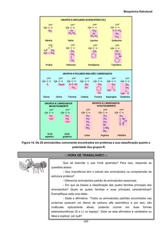 Bioquímica Estrutural
  103
Figura 14. Os 20 aminoácidos comumente encontrados em proteínas e sua classificação quanto a
polaridade dos grupos R.
:: HORA DE TRABALHAR!!! ::
Que tal exercitar o que Você aprendeu? Para isso, responda as
questões abaixo:
- Que importância tem o estudo dos aminoácidos na compreensão da
estrutura protéica?
- Diferencie aminoácidos padrão de aminoácidos essenciais
- Em que se baseia a classificação das quatro famílias principais dos
aminoácidos? Quais as quatro famílias e suas principais características?
Exemplifique cada uma delas.
- Dada a afirmativa: “Todos os aminoácidos padrões encontrados nas
proteínas possuem um átomo de carbono alfa assimétrico e por isso, são
moléculas opticamente ativas, podendo ocorrer em duas formas
estereoisoméricas (D e L) no espaço”. Dizer se esta afirmativa é verdadeira ou
falsa e explicar, por quê?
 