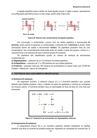 Bioquímica Estrutural
  107
A ligação peptídica possui caráter de dupla ligação parcial, é rígida e planar, apresenta-se
na configuração geométrica trans e é sem carga, porém polar (Figura 20)
Figura 20. Resumo das características da ligação peptídica
Por convenção, a extremidade α-amino livre da cadeia peptídica é denominada N-
terminal, sendo escrita à esquerda, e a extremidade α-carboxila livre, C-terminal, à direita. Cada
aminoácido dentro da cadeia é denominado resíduo. Os peptídeos possuem mais de uma
nomenclatura. Seu comportamento ácido-base pode ser predito a partir dos grupos α-amino e α-
carboxila livres e da natureza de seus inúmeros grupos R ionizáveis.
Os peptídeos são classificados quanto ao número de resíduos de aminoácidos
constituintes em:
a) Oligopeptídeos – possuem de 2 a 10 resíduos na cadeia peptídica;
b) Polipeptídeos – possuem de 11 a 100 resíduos em sua cadeia peptídica;
c) Proteínas – possuem mais que 100 resíduos de aminoácidos ou massa maior que 10.000 Da
(1Dalton = Massa de 1 átomo de hidrogênio).
4. PEPTÍDEOS BIOLOGICAMENTE IMPORTANTES
a) Oxitocina (9 resíduos)
No organismo humano, a oxitocina (Figura 21) é o hormônio peptídico que, quando
liberado pela hipófise posterior, induz o trabalho de parto em gestantes e controla as contrações
do músculo uterino. O hormônio também atua na estimulação do fluxo de leite em uma mãe que
amamenta.
Figura 21. Sequência de aminoácidos do oligopeptídeo oxitocina.
b) Vasopressina (9 resíduos)
A vasopressina (Figura 22) é um hormônio peptídico também sintetizado na hipófise
posterior que atua no controle da pressão sanguínea, regulando as contrações do músculo liso. O
 