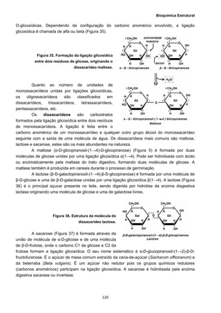 Bioquímica Estrutural
  120
O-glicosídicas. Dependendo da configuração do carbono anomérico envolvido, a ligação
glicosídica é chamada de alfa ou beta (Figura 35).
Figura 35. Formação da ligação glicosídica
entre dois resíduos de glicose, originando o
dissacarídeo maltose.
Quanto ao número de unidades de
monossacarídeos unidas por ligações glicosídicas,
os oligossacarídeos são classificados em
dissacarídeos, trissacarídeos, tetrassacarídeos,
pentassacarídeos, etc.
Os dissacarídeos são carboidratos
formados pela ligação glicosídica entre dois resíduos
de monossacarídeos. A ligação é feita entre o
carbono anomérico de um monossacarídeo e qualquer outro grupo álcool do monossacarídeo
seguinte com a saída de uma molécula de água. Os dissacarídeos mais comuns são maltose,
lactose e sacarose, estes são os mais abundantes na natureza.
A maltose (α-D-glicopiranosil-(1→4)-D-glicopiranose) (Figura 5) é formada por duas
moléculas de glicose unidas por uma ligação glicosídica α(1→4). Pode ser hidrolisada com ácido
ou enzimaticamente pela maltase do trato digestivo, formando duas moléculas de glicose. A
maltase também é produzida em cereais durante o processo de germinação.
A lactose (β-D-galactopiranosil-(1→4)-β-D-glicopiranose) é formada por uma molécula de
β-D-glicose e uma de β-D-galactose unidas por uma ligação glicosídica β(1→4). A lactose (Figura
36) é o princípal açucar presente no leite, sendo digerida por hidrolise da enzima disgestiva
lactase originando uma molécula de glicose e uma de galactose livres.
Figura 36. Estrutura da molécula do
dissacarídeo lactose.
A sacarose (Figura 37) é formada através da
união de molécula de α-D-glicose e de uma molécula
de β-D-frutose, onde o carbono C1 da glicose e C2 da
frutose formam a ligação glicosídica. O seu nome sistemático é α-D-glucopiranosil-(1→2)-β-D-
fructofuranose. É o açúcar de mesa comum extraído da cana-de-açúcar (Sacharum officinarum) e
da beterraba (Beta vulgaris). É um açúcar não redutor pois os grupos químicos redutores
(carbonos anoméricos) participam na ligação glicosídica. A sacarose é hidrolisada pela enzima
digestiva sacarase ou invertase.
 