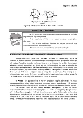 Bioquímica Estrutural
  121
Figura 37. Estrutura da molécula do dissacarídeo sacarose.
:: ARREGAÇANDO AS MANGAS!! ::
4. CONCEITO, ESTRUTURA E FUNÇÃO DOS POLISSACARÍDEOS
Polissacarídeos são carboidratos complexos, formados por cadeias muito longas de
unidades de monossacarídeos ligados entre si por ligações glicosídicas que podem ser do tipo
alfa ou beta. As cadeias formadas podem ser lineares ou ramificadas. São também chamados de
glicanos. Quando apresentam um único tipo de monossacarídeo em sua constituição são
denominados homoglicanos ou homopolissacarídeos. Quando são formados por diversos tipos
de monossacarídeos, são denominados heteroglicanos ou heteropolissacarídeos. Apresentam
duas funções biológicas principais: reserva energética e estrutural. São exemplos de
polissacarídeos com função de reserva energética, os homopolissacarídeos amido e glicogênio.
Celulose e quitina são homopolissacarídeos com função de estrutural.
a) Amido - é o polissacarídeo de reserva energética vegetal, constituído por muitas
moléculas de glicose unidas entre si através de numerosas ligações glicosídicas α(1→4) formando
uma cadeia linear que pode ou não sofrer ramificações por meio de ligações glicosídicas α(1→6).
Na natureza, ocorre em duas formas: amilose e amilopectina. A forma de amilose
apresenta cadeia linear onde as unidades de glicose são unidas apenas por ligações glicosídicas
α(1→4). Quando em solução, a molécula linear forma uma espiral (hélice). Já a amilopectina,
apresenta uma cadeia principal de resíduos de glicose unidos por ligação α(1→4), que sofre
ramificações α(1→6) a cada 24 a 30 resíduos de glicose (Figura 38). A forma de amilopectina do
amido é a forma predominantemente encontrada como reserva energética das células vegetais.
Se você acha que já sabe o bastante sobre os oligossacarídeos, comprove
respondendo as seguintes questões:
- Qual a importância biológica para os vegetais da sacarose ser um açúcar
não redutor?
- Quais enzimas digestivas hidrolizam as ligações glicosídicas dos
dissacarídeos sacarose, maltose e lactose?
- Diferenciar sacarose, maltose e lactose em estrutura e função.
 