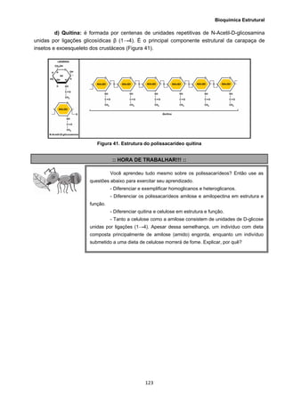 Bioquímica Estrutural
  123
d) Quitina: é formada por centenas de unidades repetitivas de N-Acetil-D-glicosamina
unidas por ligações glicosídicas β (1→4). É o principal componente estrutural da carapaça de
insetos e exoesqueleto dos crustáceos (Figura 41).
Figura 41. Estrutura do polissacarídeo quitina
:: HORA DE TRABALHAR!!! ::
Você aprendeu tudo mesmo sobre os polissacarídeos? Então use as
questões abaixo para exercitar seu aprendizado.
- Diferenciar e exemplificar homoglicanos e heteroglicanos.
- Diferenciar os polissacarídeos amilose e amilopectina em estrutura e
função.
- Diferenciar quitina e celulose em estrutura e função.
- Tanto a celulose como a amilose consistem de unidades de D-glicose
unidas por ligações (1→4). Apesar dessa semelhança, um indivíduo com dieta
composta principalmente de amilose (amido) engorda, enquanto um indivíduo
submetido a uma dieta de celulose morrerá de fome. Explicar, por quê?
 