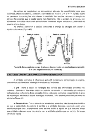 Bioquímica Estrutural
  126
As enzimas se caracterizam por apresentarem alto grau de especificidade pelos seus
substratos, eficiência catalítica, aceleram a velocidade das reações (108
a 1011
+ rápida), atuam
em pequenas concentrações, não alteram o equilíbrio das reações, reduzem a energia de
ativação favorecendo que a reação ocorra mais facilmente, não se perdem no processo, não
apresentam toxicidade e funcionam em condições favoráveis de pH, temperatura, polaridade do
solvente e força iônica.
As enzimas promovem a catálise diminuindo a energia de ativação sem alterar o
equilíbrio da reação (Figura 42).
Figura 42. Comparação da energia de ativação de uma reação não catalisada por enzima (A)
e de uma reação catalisada por enzima (B).
2. FATORES QUE INFLUENCIAM A ATIVIDADE ENZIMÁTICA
A atividade enzimática é influenciada pelo pH, temperatura, concentração da enzima,
concentração do substrato e presença de inibidores ou ativadores.
a) pH - altera o estado de ionização dos radicais dos aminoácidos presentes nas
proteínas, desfazendo interações entre os radicais necessárias a manutenção da estrutura
biológica nativa ou funcional. Essa alteração diminui a atividade enzimática e dependendo do grau
de modificação da estrutura ocorre inativação enzimática. Toda enzima possui um pH ótimo de
atividade (Figura 43).
b) Temperatura – Com o aumento da temperatura aumenta a taxa de reação enzimática
até que a estabilidade da proteína é perdida e a atividade decresce, ocorrendo assim uma
desnaturação por calor. A temperatura ótima de uma enzima é aquela em que a enzima atinge
sua atividade máxima e onde permanece com a atividade catalítica por um período de tempo
(observe a figura).
 