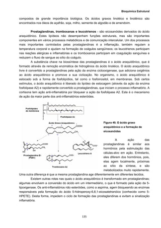 Bioquímica Estrutural
  135
compostos de grande importância biológica. Os ácidos graxos linoléico e linolênico são
encontrados nos óleos de açafrão, soja, milho, semente de algodão e de amendoim.
Prostaglandinas, tromboxanas e leucotrienos - são eicosanóides derivados do ácido
araquidônico. Estes lipídeos não desempenham funções estruturais, mas são importantes
componentes em vários processos metabólicos e de comunicação intercelular. Um dos processos
mais importantes controlados pelas prostaglandinas é a inflamação, também regulam a
temperatura corporal e ajudam na formação de coágulos sangüíneos; os leucotrienos participam
nas reações alérgicas e inflamatórias e os tromboxanos participam em coagulação sanguínea e
reduzem o fluxo de sangue ao sítio do coágulo.
A substância chave na biossíntese das prostaglandinas é o ácido araquidônico, que é
formado através da remoção enzimática de hidrogênios do ácido linoléico. O ácido araquidônico
livre é convertido a prostaglandinas pela ação da enzima ciclooxigenase, que adiciona oxigênios
ao ácido araquidônico e promove a sua ciclização. No organismo, o ácido araquidônico é
estocado sob a forma de fosfolipídios, tal como o fosfoinositol, em membranas. Sob certos
estímulos, o ácido araquidônico é liberado do lipídeo de estocagem (através da ação da enzima
fosfolipase A2) e rapidamente convertido a prostaglandinas, que iniciam o processo inflamatório. A
cortisona tem ação anti-inflamatória por bloquear a ação da fosfolipase A2. Este é o mecanismo
de ação da maior parte dos anti-inflamatórios esteróides.
Figura 49. O ácido graxo
araquidônico e a formação de
eicosanóides
A ação das
prostaglandinas é similar aos
hormônios pela estimulação das
células-alvo em ação. Entretanto,
eles diferem dos hormônios, pois,
elas agem localmente, próximas
ao sítio da síntese, e são
metabolizados muito rapidamente.
Uma outra diferença é que a mesma prostaglandina age diferentemente em diferentes tecidos.
Existem outras rotas nas quais o ácido araquidônico é transformado em prostaglandinas;
algumas envolvem a conversão do ácido em um intermediário, o que é formado pela ação da 5-
lipoxigenase. Os anti-inflamatórios não esteróides, como a aspirina, agem bloqueando as enzimas
responsáveis pela formação do ácido 5-hidroperoxy-6,8,1-eicosatetranóico (conhecido como 5-
HPETE). Desta forma, impedem o ciclo de formação das prostaglandinas e evitam a sinalização
inflamatória.
 