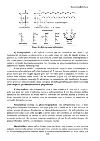 Bioquímica Estrutural
  138
Figura 51 - Estrutura dos fosfolipídios.
c) Esfingolipídios – são lipídios formados por um aminoálcool de cadeia longa
(esfingosina) conectada covalentemente a um ácido graxo por meio de ligação amídica, e
podendo ou não ter ácido fosfórico em sua estrutura. Diferem dos acilgliceróis e fosfolipídeos por
não conter glicerol. Os esfingolipídeos são lipídeos de membrana, envolvidos em reconhecimento
celular e condução dos impulsos nervosos. Nas hemácias, os glicoesfingolipídeos de membrana
determinam o sistema ABO sanguíneo.
Estes lipídeos contêm 3 componentes fundamentais: um grupo polar, um ácido graxo, e
uma estrutura chamada base esfingóide (esfingosina). É chamado de base devido à presença do
grupo amino que, em solução aquosa, pode ser convertido para o respectivo íon amônio. Os
lipídios mais simples dessa classe são as ceramidas (Figura 52). Os esfingolipídios são
encontrados em plantas e animais. Os vários tipos de esfingolipídios são classificados de acordo
com o grupo que está conectado à base esfingóide em esfingomielinas, glicolipídeos neutros
(sem carga) ou glicoesfingolipídeos e gangliosídeos.
Esfingomielinas: são esfingolipídios onde a base esfingóide é conectada a um grupo
polar que pode ser tanto a fosfocolina como a fosfoetanolamina. É um dos principais lipídios
estruturais das membranas do tecido nervoso, formando uma camada isolante e protetora às
fibras neuronais (bainha de mielina), onde se relacionam com o aumento da velocidade de
condução do impulso nervoso.
Glicolipídeos neutros ou glicoesfingolipídeos: são esfingolipídios onde a base
esfingóide é conectada diretamente a um grupo polar que consiste de um a seis resíduos de
açúcar simples (D-glicose, D-galactose ou N-Acetil-D-galactosamina). Os esfingolipídios que
possuem um único açúcar unido a porção ceramida são os cerebrosídeos. Os cerebrosídeos das
membranas plasmáticas de células do tecido nervoso contém galactose em sua estrutura,
enquanto nos tecidos não nervosos, o açucar presente é a glicose. Os glicoesfingolipídeos não
possuem fosfato e portanto, são lipídios não iônicos ou neutros.
Gangliosídios: são os esfingolipídeos mais complexos, pois possuem em sua estrutura
cabeças polares muito grandes formadas por várias unidades de açúcar (oligossacarídeos). Uma
ou mais unidades glicídicas terminais destes é o ácido N-acetil-neuramínico ou ácido siálico, que
 