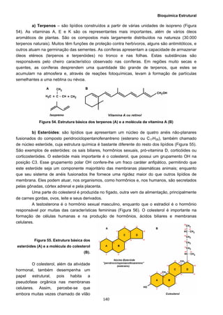 Bioquímica Estrutural
  140
a) Terpenos – são lipídios construídos a partir de várias unidades de isopreno (Figura
54). As vitaminas A, E e K são os representantes mais importantes, além de vários óleos
aromáticos de plantas. São os compostos mais largamente distribuídos na natureza (30.000
terpenos naturais). Muitos têm funções de proteção contra herbívoros, alguns são antimitóticos, e
outros atuam na germinação das sementes. As coníferas apresentam a capacidade de armazenar
óleos etéreos (terpenos e terpenóides) no tronco e nas folhas. Estas substâncias são
responsáveis pelo cheiro característico observado nas coníferas. Em regiões muito secas e
quentes, as coníferas desprendem uma quantidade tão grande de terpenos, que estes se
acumulam na atmosfera e, através de reações fotoquímicas, levam à formação de partículas
semelhantes a uma neblina ou névoa.
Figura 54. Estrutura básica dos terpenos (A) e a molécula da vitamina A (B)
b) Esteróides: são lipídios que apresentam um núcleo de quatro anéis não-planares
fusionados do composto peridrociclopentanofenantreno (esterano ou C17H28), também chamado
de núcleo esteróide, cuja estrutura química é bastante diferente do resto dos lipídios (Figura 55).
São exemplos de esteróides: os sais biliares, hormônios sexuais, pró-vitamina D, corticóides ou
corticosteróides. O esteróide mais importante é o colesterol, que possui um grupamento OH na
posição C3. Esse grupamento polar OH confere-lhe um fraco caráter anfipático, permitindo que
este esteróide seja um componente majoritário das membranas plasmáticas animais; enquanto
que seu sistema de anéis fusionados lhe fornece uma rigidez maior do que outros lipídios de
membrana. Eles podem atuar, nos organismos, como hormônios e, nos humanos, são secretados
pelas gônadas, córtex adrenal e pela placenta.
Uma parte do colesterol é produzida no fígado, outra vem da alimentação, principalmente
de carnes gordas, ovos, leite e seus derivados.
A testosterona é o hormônio sexual masculino, enquanto que o estradiol é o hormônio
responsável por muitas das características femininas (Figura 56). O colesterol é importante na
formação de células humanas e na produção de hormônios, ácidos biliares e membranas
celulares.
Figura 55. Estrutura básica dos
esteróides (A) e a molécula do colesterol
(B).
O colesterol, além da atividade
hormonal, também desempenha um
papel estrutural, pois habita a
pseudofase orgânica nas membranas
celulares. Assim, percebe-se que
embora muitas vezes chamado de vilão
 
