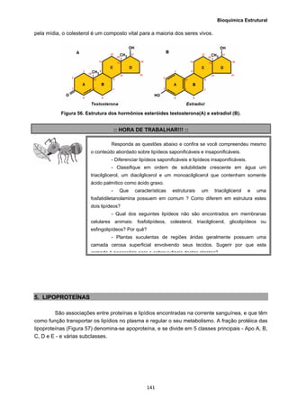 Bioquímica Estrutural
  141
pela mídia, o colesterol é um composto vital para a maioria dos seres vivos.
Figura 56. Estrutura dos hormônios esteróides testosterona(A) e estradiol (B).
:: HORA DE TRABALHAR!!! ::
5. LIPOPROTEÍNAS
São associações entre proteínas e lipídios encontradas na corrente sanguínea, e que têm
como função transportar os lipídios no plasma e regular o seu metabolismo. A fração protéica das
lipoproteínas (Figura 57) denomina-se apoproteína, e se divide em 5 classes principais - Apo A, B,
C, D e E - e várias subclasses.
Responda as questões abaixo e confira se você compreendeu mesmo
o conteúdo abordado sobre lipídeos saponificáveis e insaponificáveis.
- Diferenciar lipídeos saponificáveis e lipídeos insaponificáveis.
- Classifique em ordem de solubilidade crescente em água um
triacilglicerol, um diacilglicerol e um monoacilglicerol que contenham somente
ácido palmítico como ácido graxo.
- Que características estruturais um triacilglicerol e uma
fosfatidiletanolamina possuem em comum ? Como diferem em estrutura estes
dois lipídeos?
- Qual dos seguintes lipídeos não são encontrados em membranas
celulares animais: fosfolipídeos, colesterol, triacilglicerol, glicolipídeos ou
esfingolipídeos? Por quê?
- Plantas suculentas de regiões áridas geralmente possuem uma
camada cerosa superficial envolvendo seus tecidos. Sugerir por que esta
camada é necessária para a sobrevivência destas plantas?
 