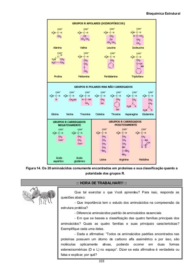 Bioquimica estrutural Bioquimica estrutural