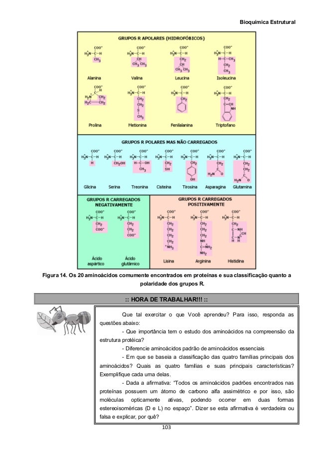 Bioquimica estrutural