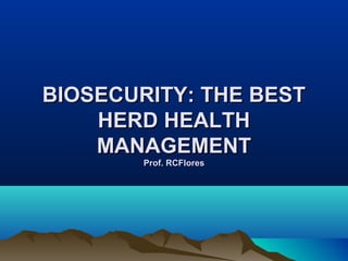 BIOSECURITY: THE BESTBIOSECURITY: THE BEST
HERD HEALTHHERD HEALTH
MANAGEMENTMANAGEMENT
Prof. RCFloresProf. RCFlores
 