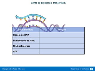 Biologia e Geologia - 11.o ano Biossíntese de proteínas 49
Como se processa a transcrição?
Intervenientes Função
Cadeia de DNA Molde para a síntese de RNA
Nucleótidos de RNA Unidades para a síntese de RNA
RNA polimerase Catalisador das reações
ATP Fornece a energia
 