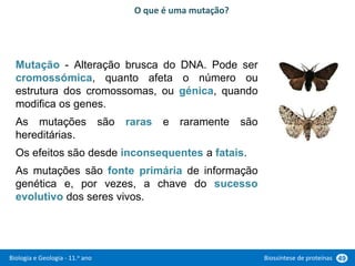 Biologia e Geologia - 11.o ano Biossíntese de proteínas 49
Mutação - Alteração brusca do DNA. Pode ser
cromossómica, quanto afeta o número ou
estrutura dos cromossomas, ou génica, quando
modifica os genes.
As mutações são raras e raramente são
hereditárias.
Os efeitos são desde inconsequentes a fatais.
As mutações são fonte primária de informação
genética e, por vezes, a chave do sucesso
evolutivo dos seres vivos.
O que é uma mutação?
 