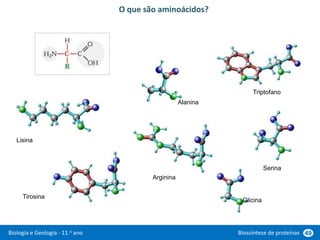 Biologia e Geologia - 11.o ano Biossíntese de proteínas 49
O que são aminoácidos?
Serina
Tirosina
Lisina
Alanina
Triptofano
Arginina
Glicina
 